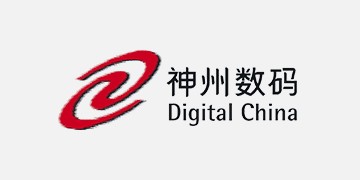 Digital China
