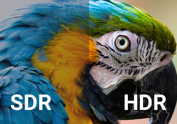 xilinx-realtime-uhd-sdr-hdr