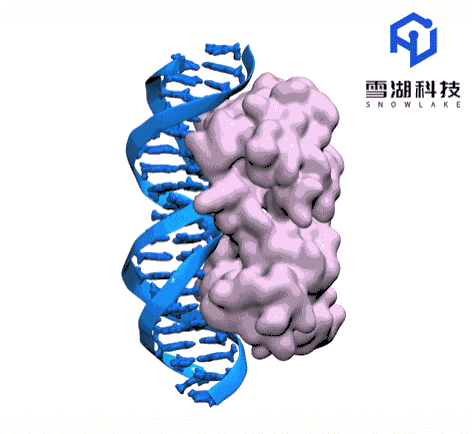 分子动力学图解